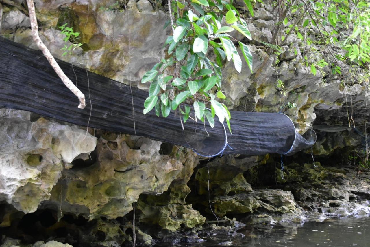 Kampoeng Karst Rammang Rammang Casa de hóspedes Kasijala Exterior foto