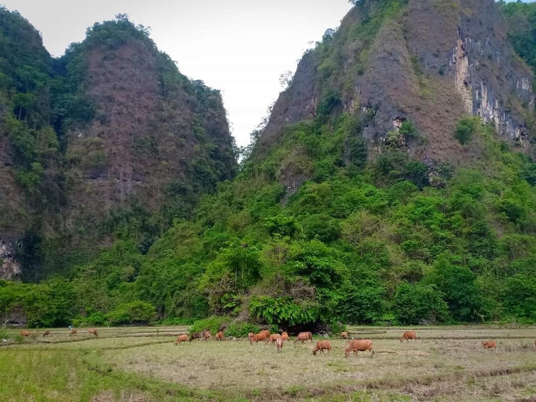 Kampoeng Karst Rammang Rammang Casa de hóspedes Kasijala Exterior foto