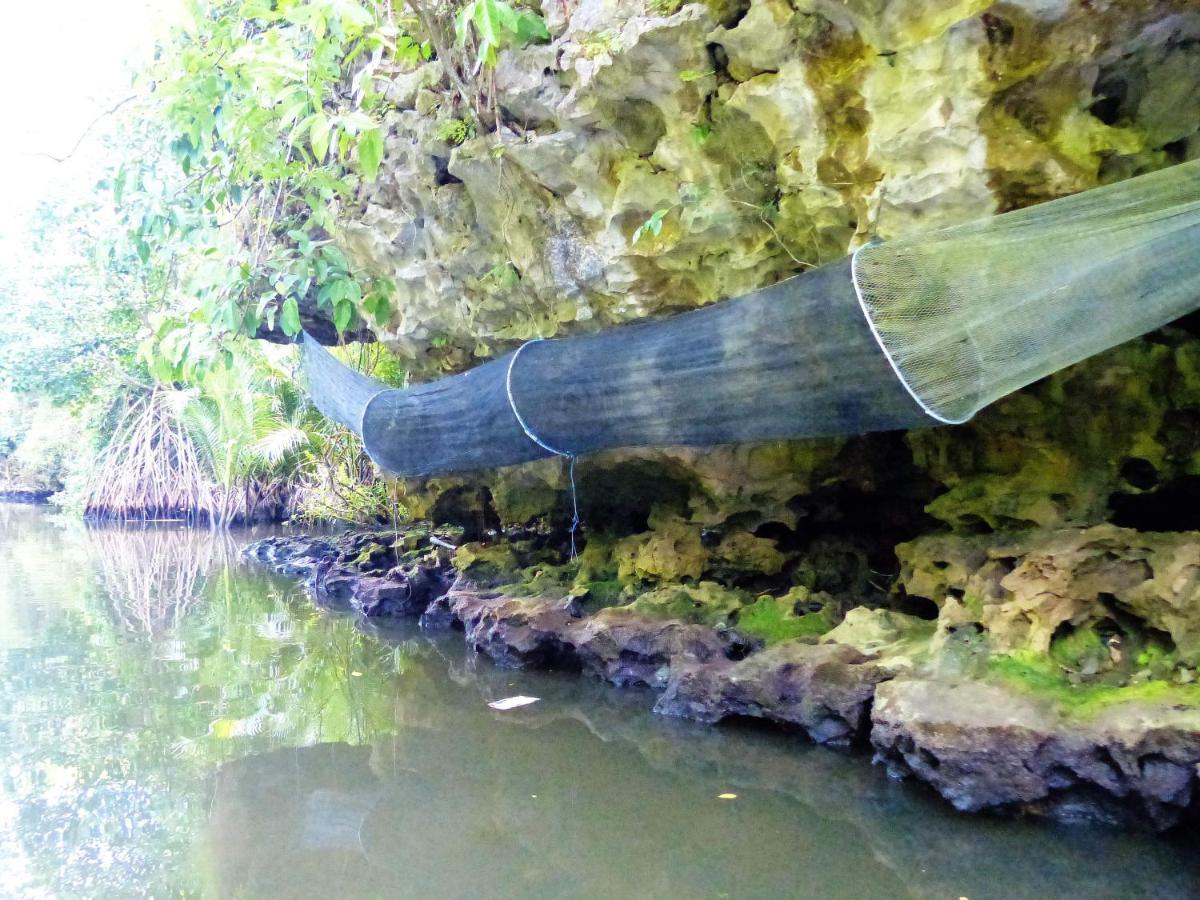 Kampoeng Karst Rammang Rammang Casa de hóspedes Kasijala Exterior foto